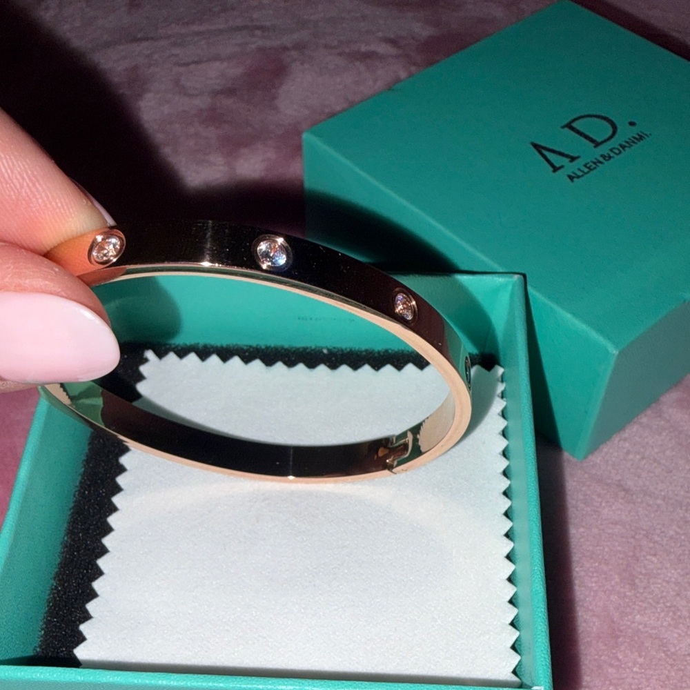 AD Allen & Danmi 18k Rose Gold Plated Love Bangle NWT - Picture 5 of 10